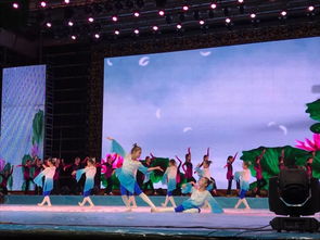 《祖國永遠是春天》——小江精品藝術學校2025年專場春節(jié)文藝演出暨廣播電視節(jié)目制作紀實