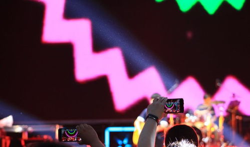 中演協(xié)經(jīng)紀(jì)人委員會(huì)攜手廣播電視節(jié)目制作經(jīng)營(yíng)，助力沈陽(yáng)法庫(kù)音樂節(jié)圓滿落幕